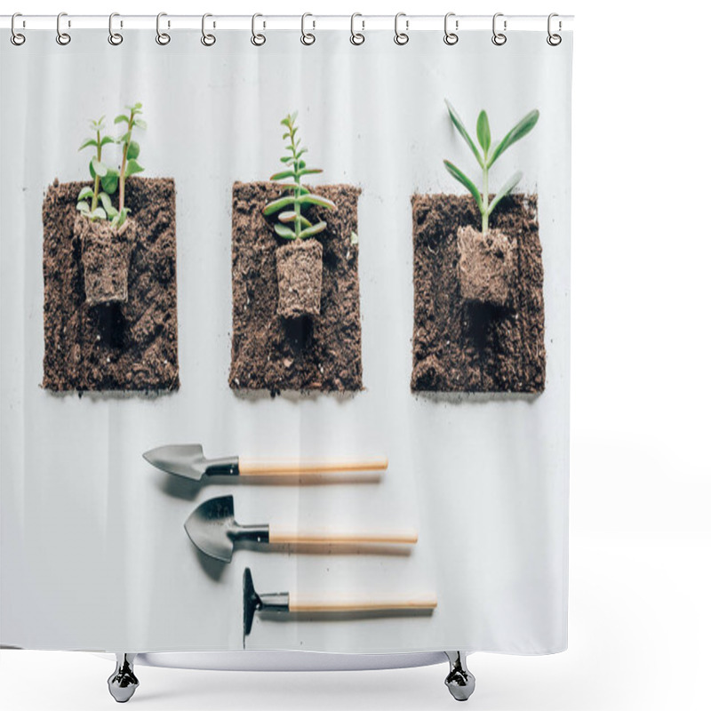 Personality  Top View Of Beautiful Green Plants In Soil And Gardening Tools On Grey  Shower Curtains