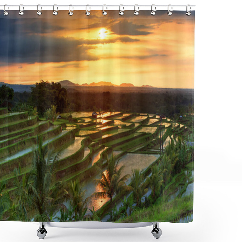 Personality  Famous Jatiluwih Rice Terraces On Bali During Sunrise, Indonesia Shower Curtains