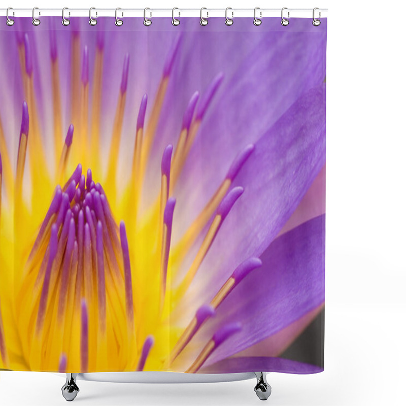 Personality  Water Lily Closeup Shower Curtains