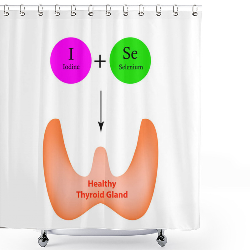 Personality  Selenium And Iodine Are Necessary For The Normal Functioning Of The Thyroid Gland. Infographics. Vector Illustration On Isolated Background. Shower Curtains