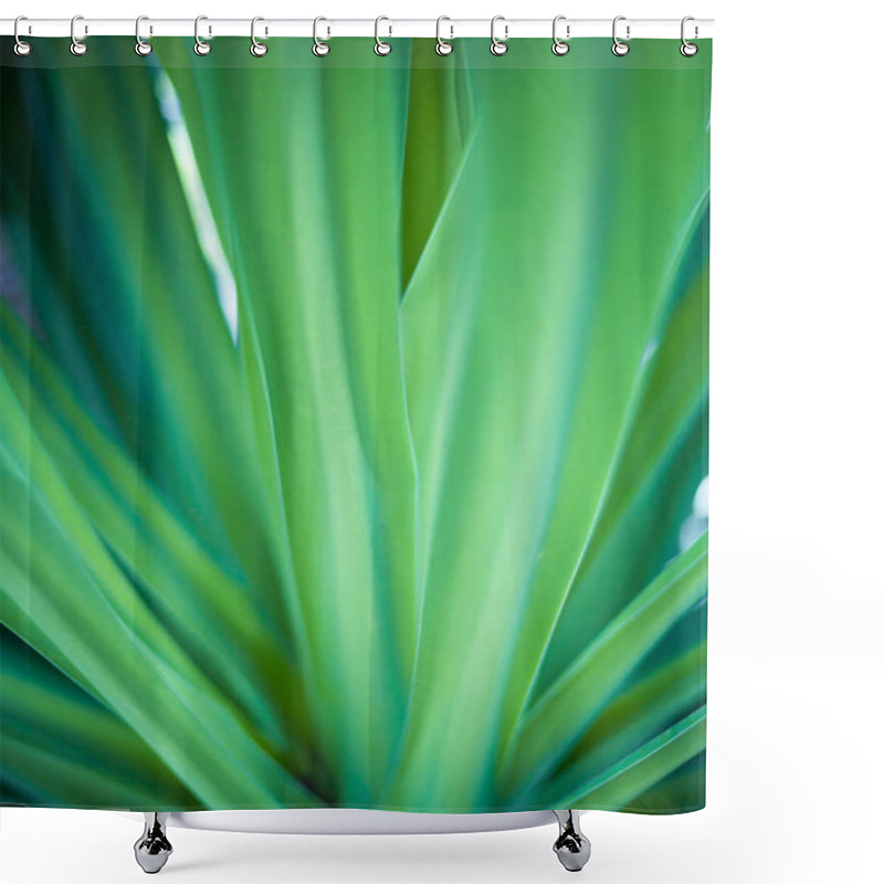 Personality  Closeup Of Green Leaf In Garden. Shower Curtains