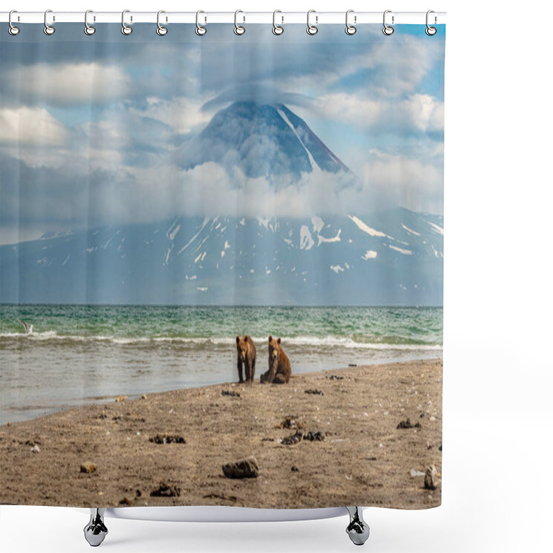 Personality  Ruling The Landscape, Brown Bears Of Kamchatka (Ursus Arctos Beringianus) Shower Curtains