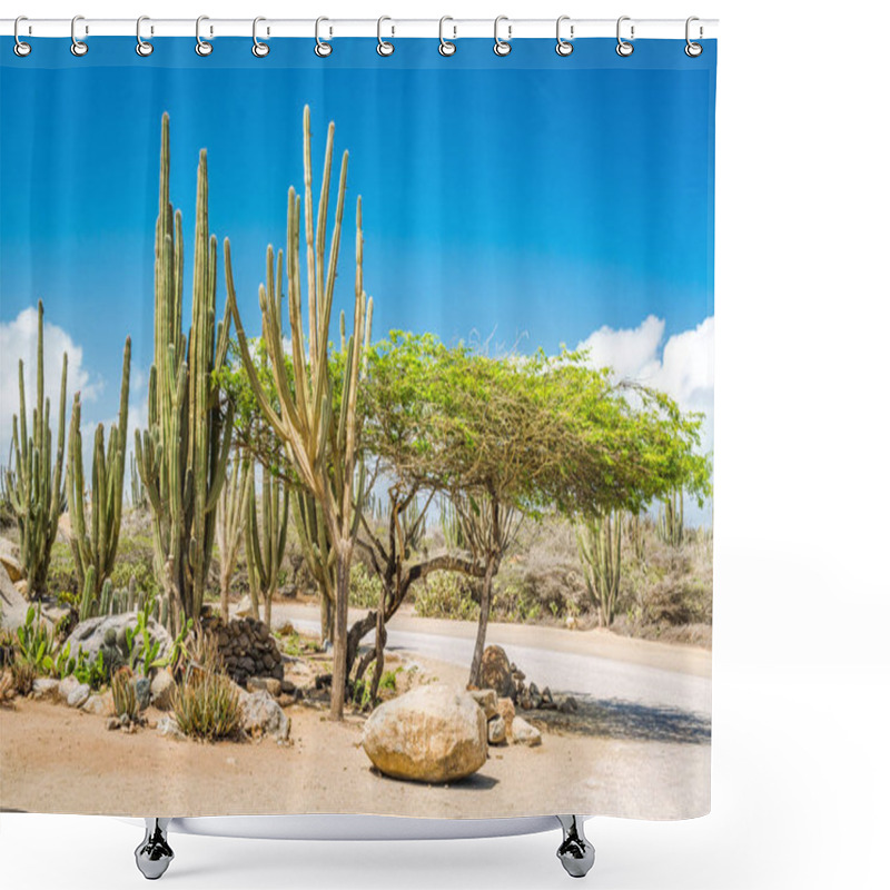 Personality  Typical Dry Climate Cacti And Shrubs In Aruba Shower Curtains