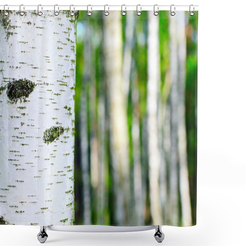 Personality  Birch Trees Shower Curtains