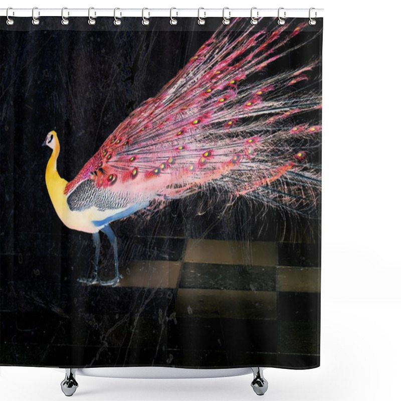 Personality  Creative Poster With Colourful Peacock Showing Open Tail With Pink Feathers On Black Background. Bright Peacock's Tail At Night. Exotic Indian Bird. Shower Curtains