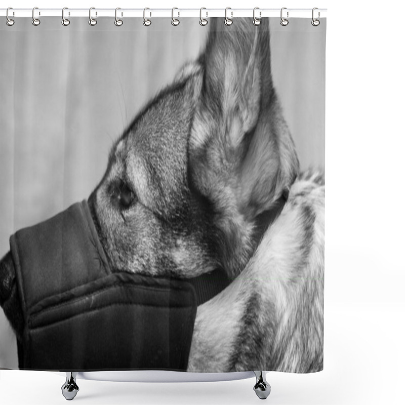 Personality  Muzzled German Shepherd Dog Shower Curtains