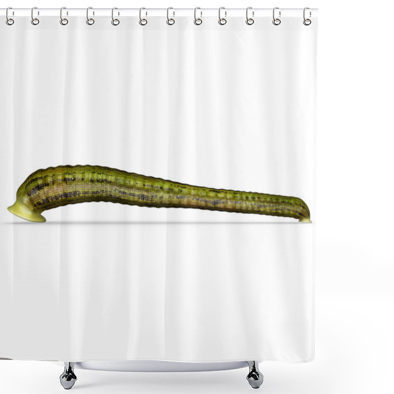 Personality  Haemadipsa Shower Curtains