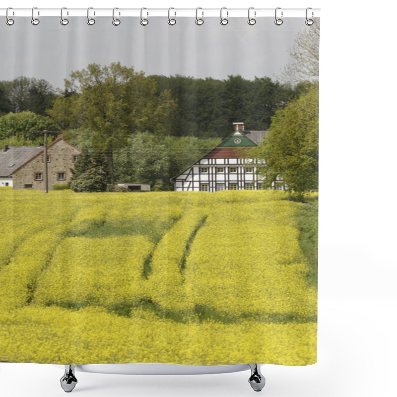 Personality  Rape Field With Old Houses In May, Hilter, Osnabrueck Country Region, Germany, Europe Shower Curtains