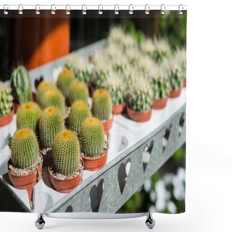 Personality  Cactuses Shower Curtains