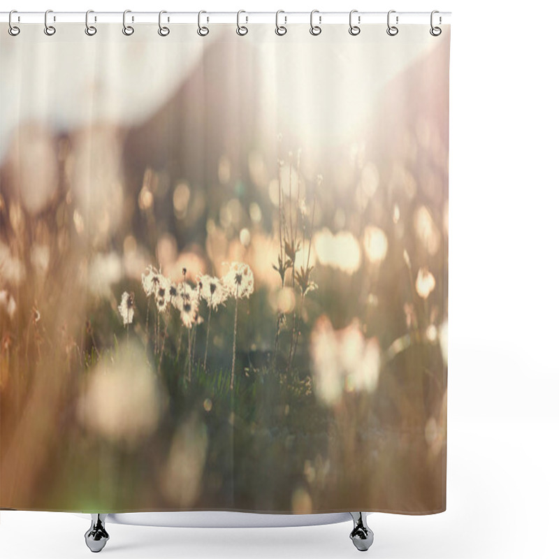 Personality  Sunny Day On The Flowers Meadow. Beautiful Natural Background. Shower Curtains