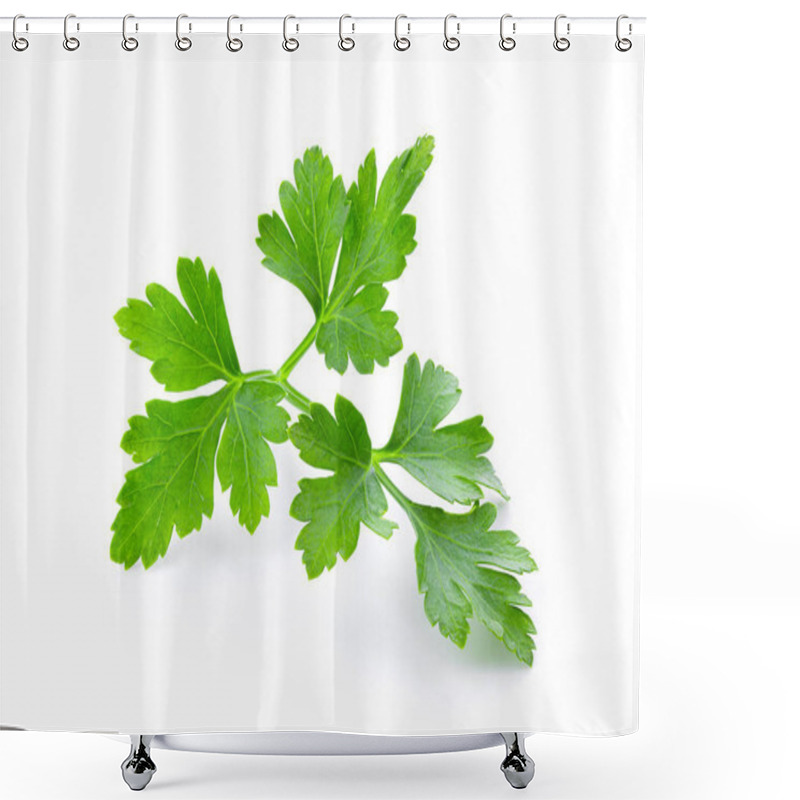 Personality  Fresh Parsley Herb Isolated On White Background. Full Depth Of Field Shower Curtains