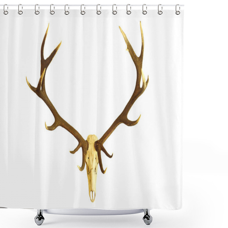 Personality  Huge Red Deer Buck Skull Shower Curtains