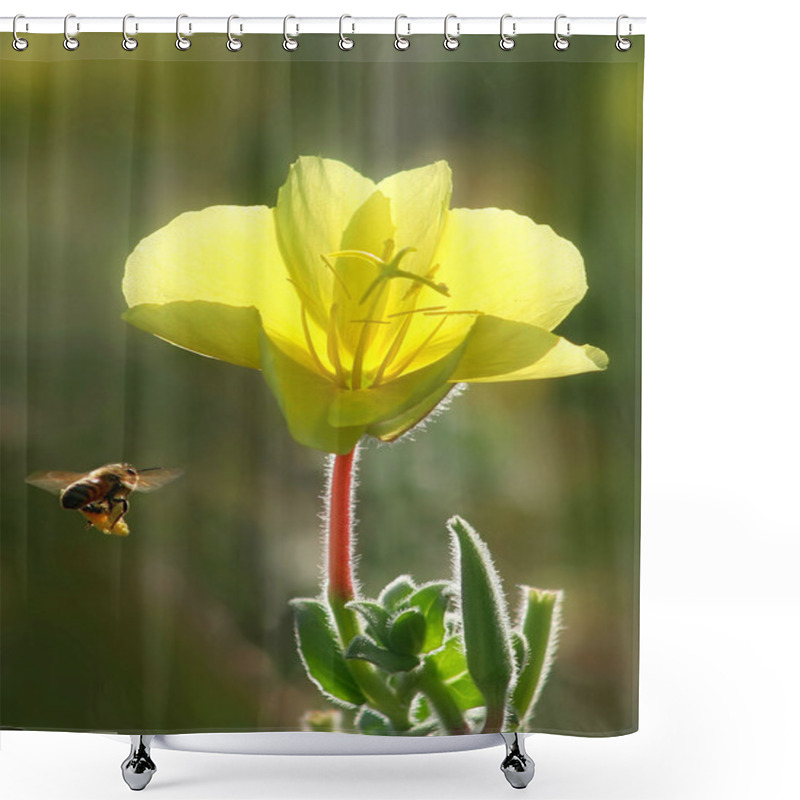 Personality  Bee Flying Towards Yellow Flower. Shower Curtains