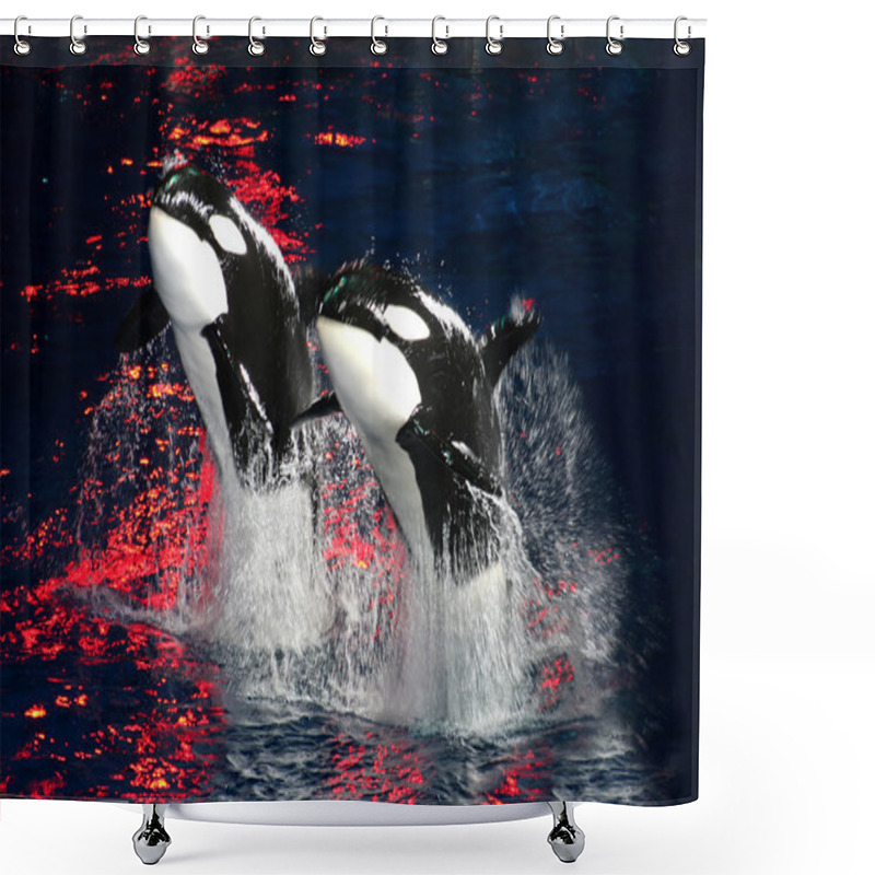 Personality  Killer Whales Shower Curtains