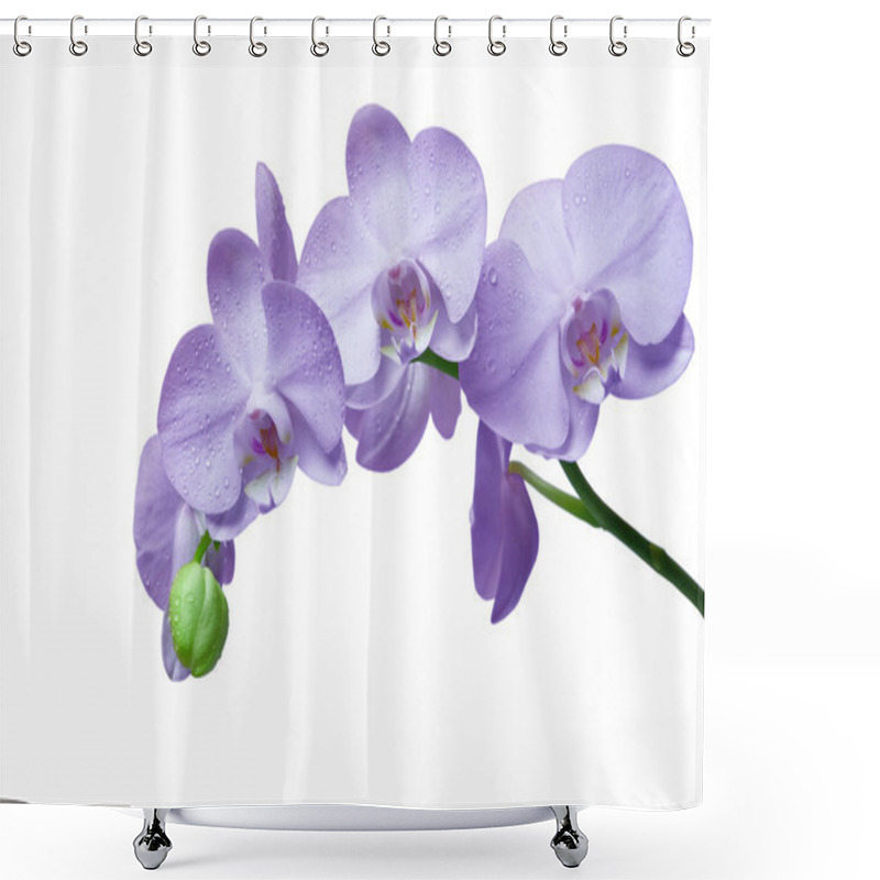 Personality  Orchid Flower Shower Curtains