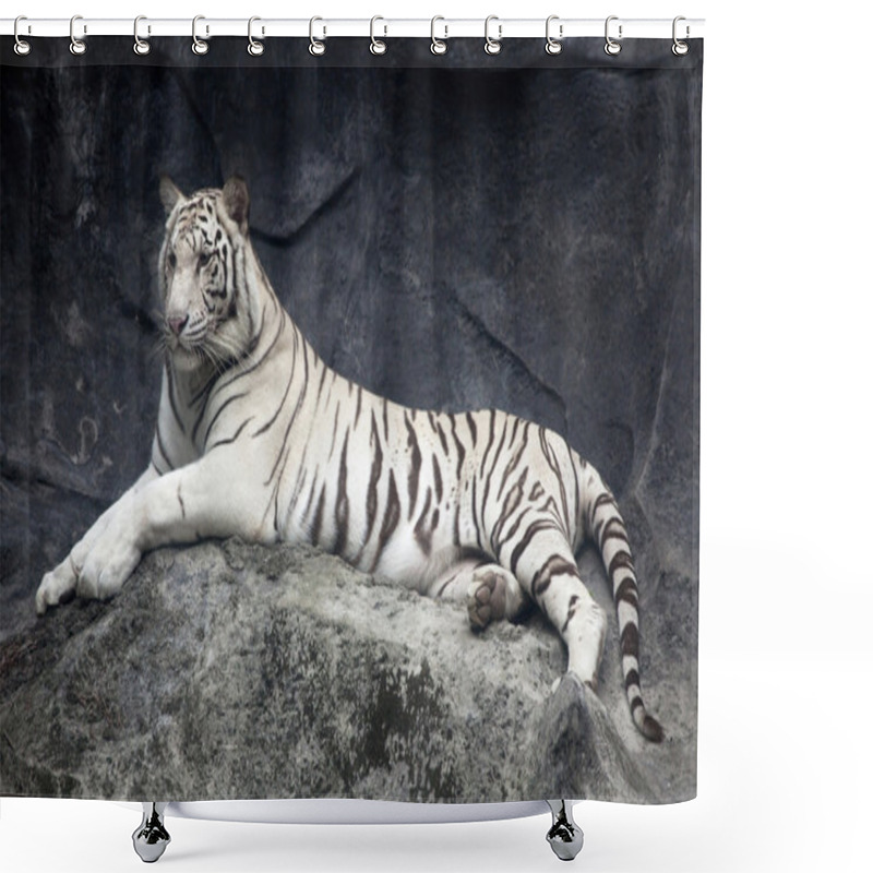 Personality  White Tiger Shower Curtains