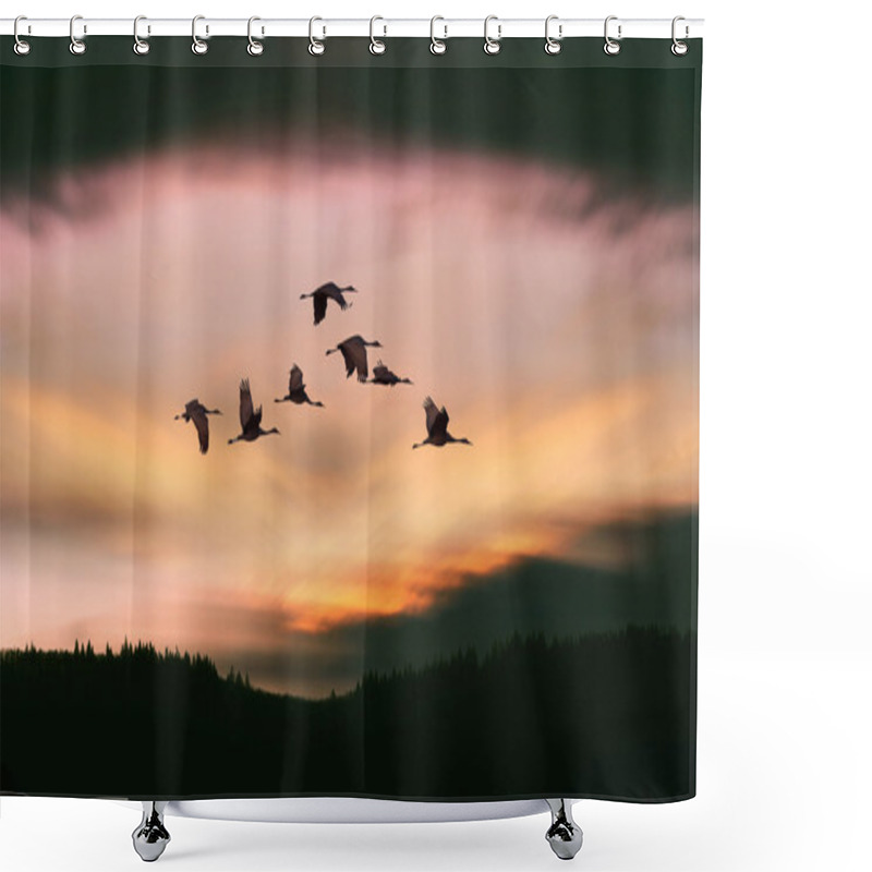 Personality  Flock Of Cranes Spring Or Autumn Migration Shower Curtains