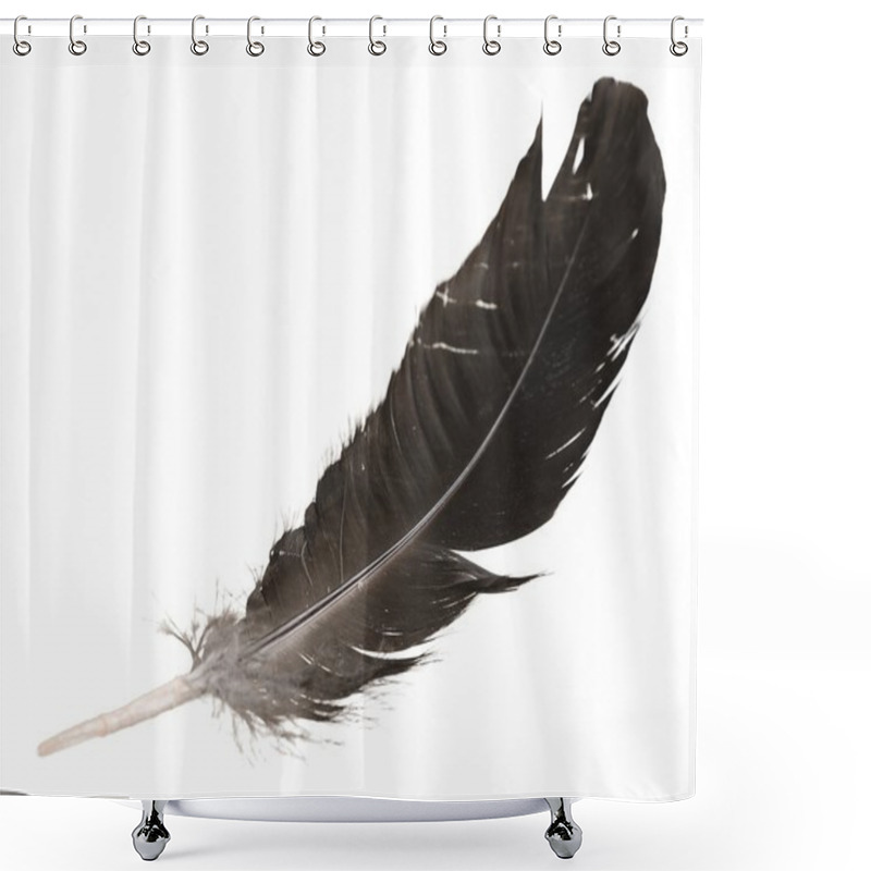 Personality  Black Bird Feather  Shower Curtains