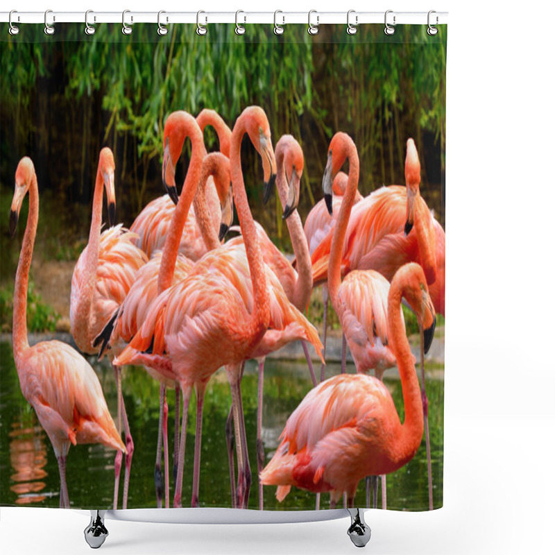 Personality  Group Of Red Flamingos Shower Curtains