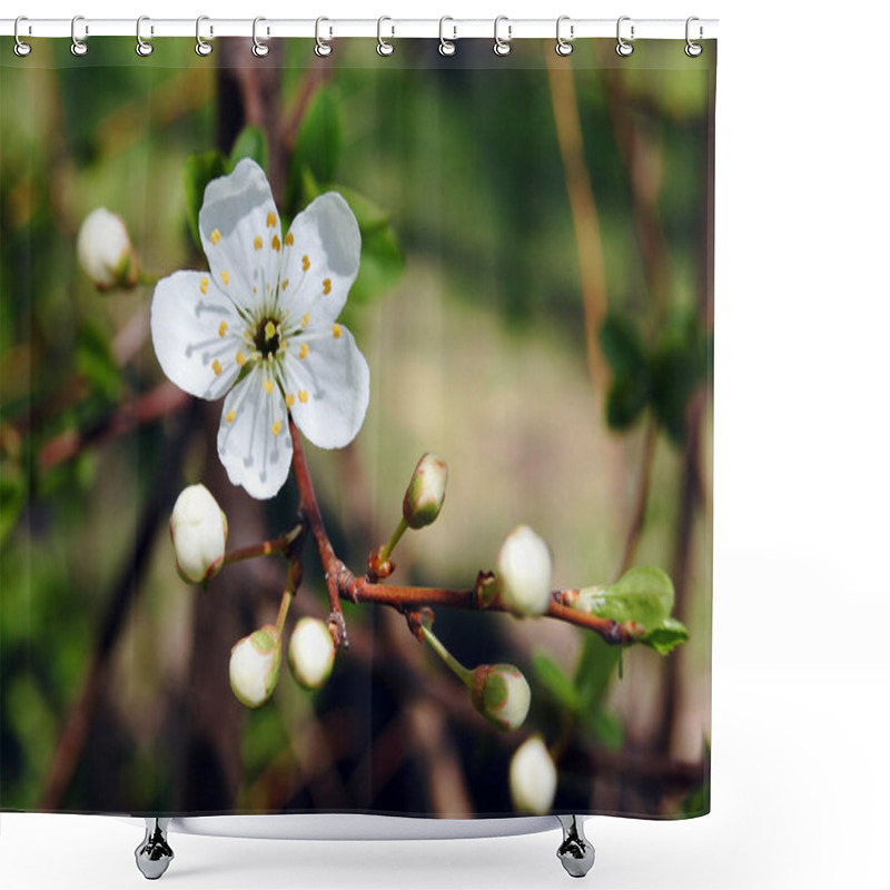 Personality  Cherry Blossom Shower Curtains