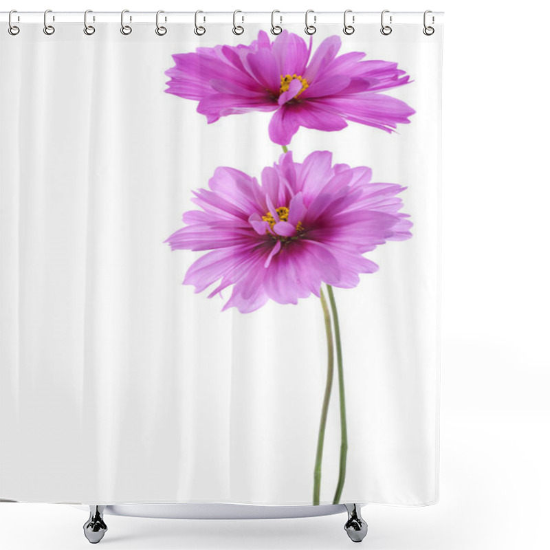 Personality  Cosmos Flower Shower Curtains