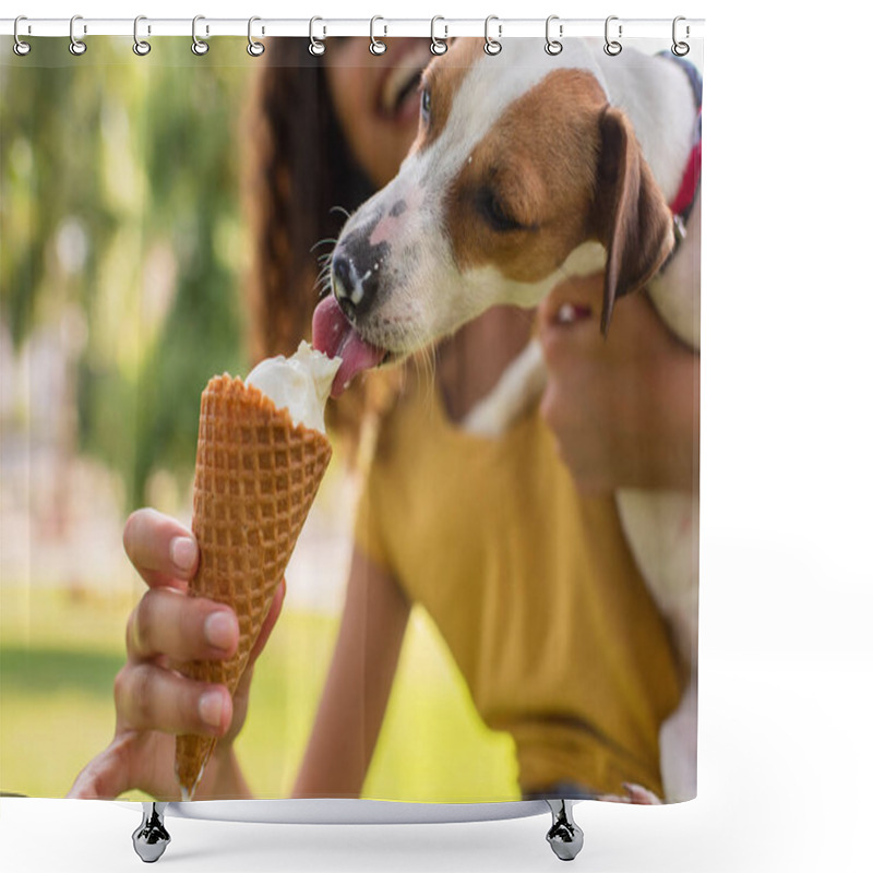 Personality  Cropped View Of Young Woman Feeding Jack Russell Terrier Dog Ice Cream Shower Curtains