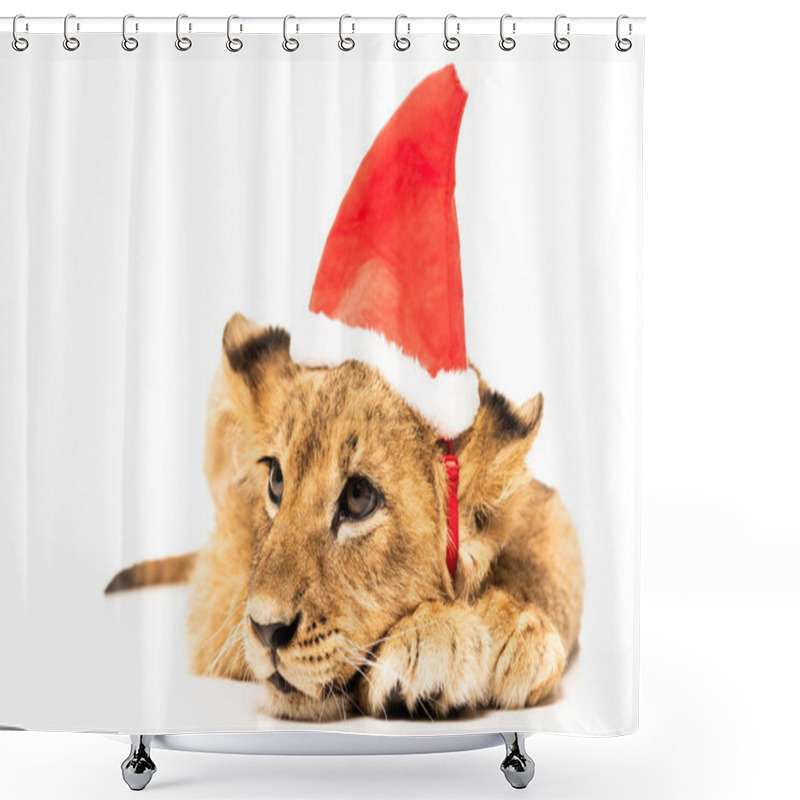 Personality  Cute Lion Cub In Santa Hat Isolated On White Shower Curtains