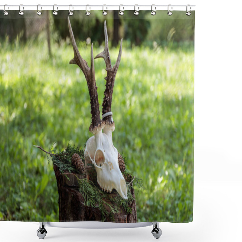 Personality  Skull Of A Deer With Horns. Deer Skull Close Up. Deer Skull With Teeth. Shower Curtains