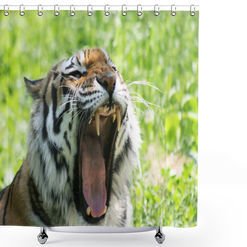 Personality  Angry Tiger Shower Curtains