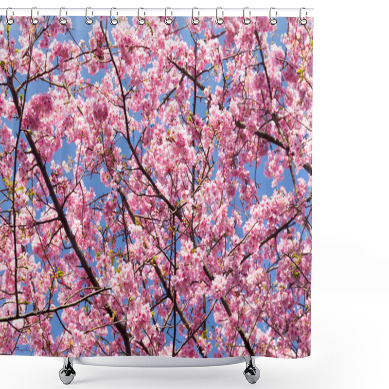 Personality  Blooming Sakura Tree Branches Shower Curtains