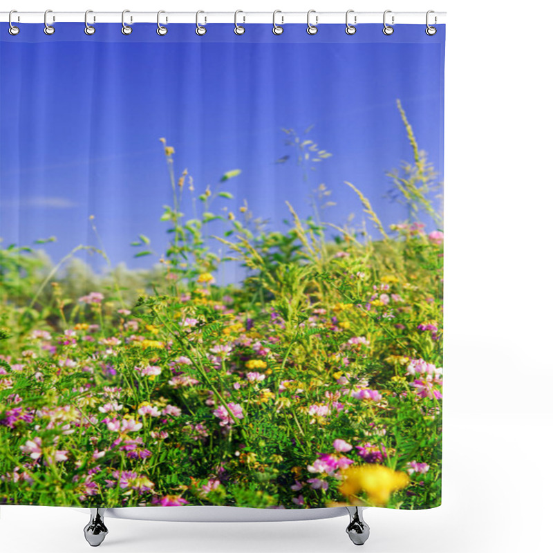 Personality  Summer Meadow Background With Various Blooming Wild Flowers And Green Grasses Shower Curtains