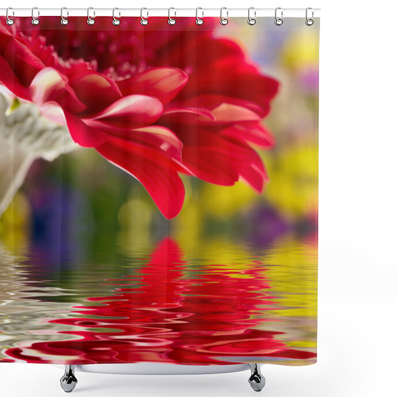 Personality  Red Daisy-gerbera With Soft Focus Reflected In The Water Shower Curtains