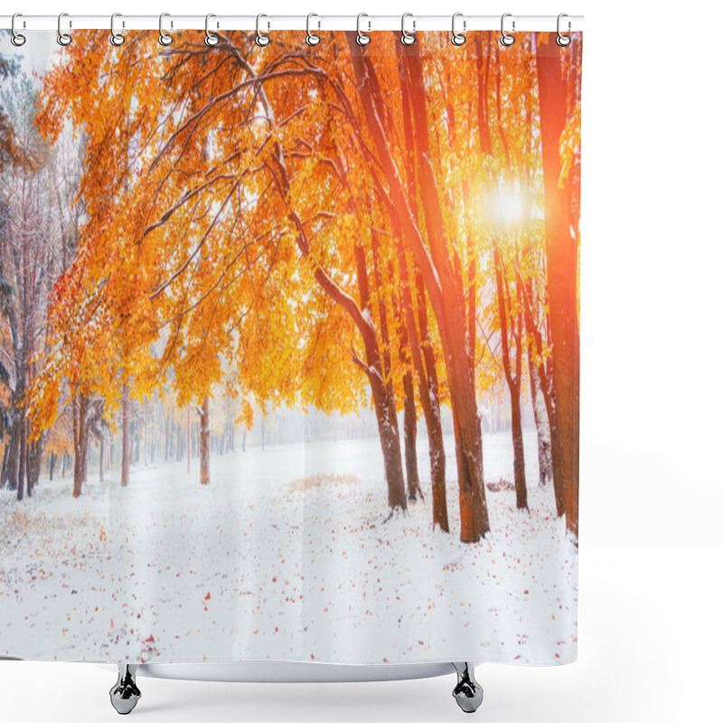 Personality  Sunlight Breaks Through The Autumn Leaves Of The Trees In The Ea Shower Curtains