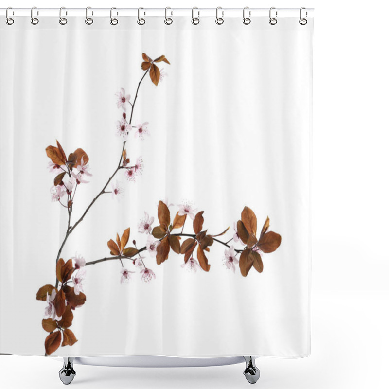 Personality  Branch Of Plum Tree With Beautiful Blossom Isolated On White. Spring Season Shower Curtains