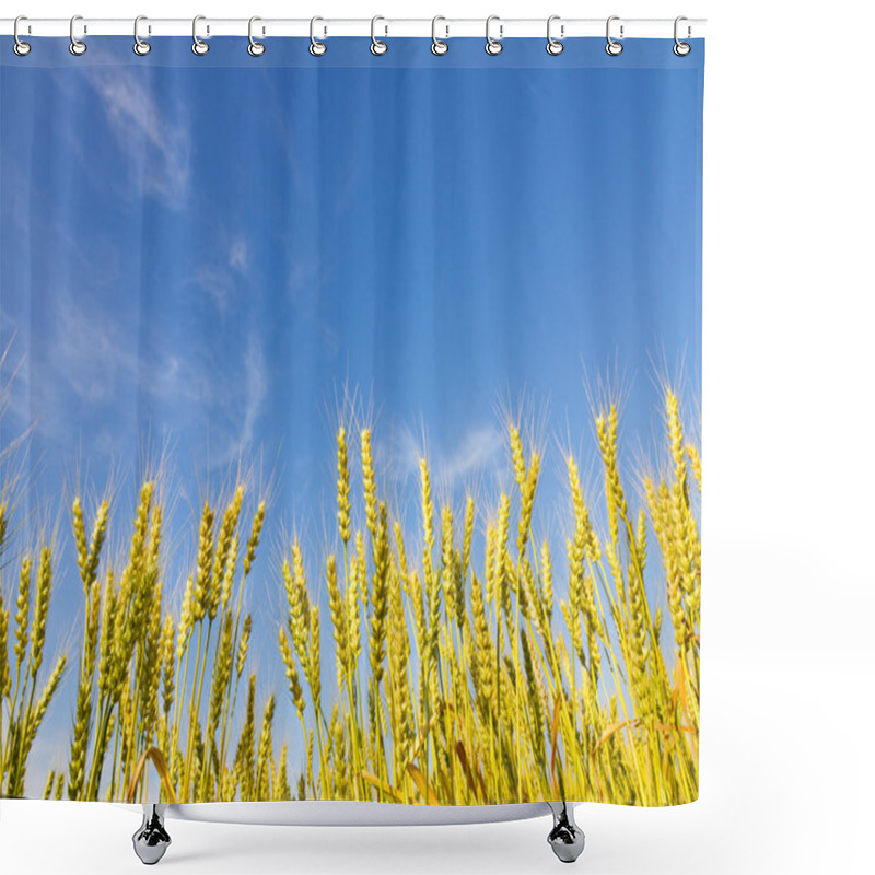 Personality  Wheat Field Shower Curtains