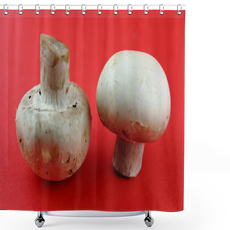 Personality  Button Mushrooms Shower Curtains