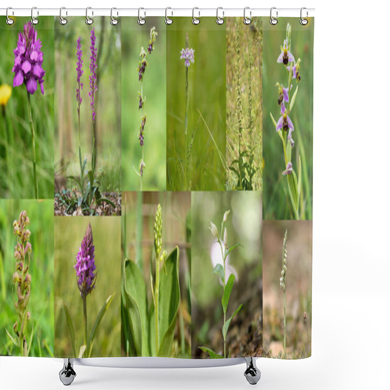 Personality  Selection Of British Orchids. Wildflowers In The Family Orchidacea Native To The UK Shower Curtains