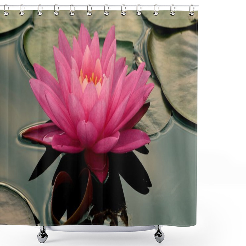 Personality  Pink Water Lilly Shower Curtains