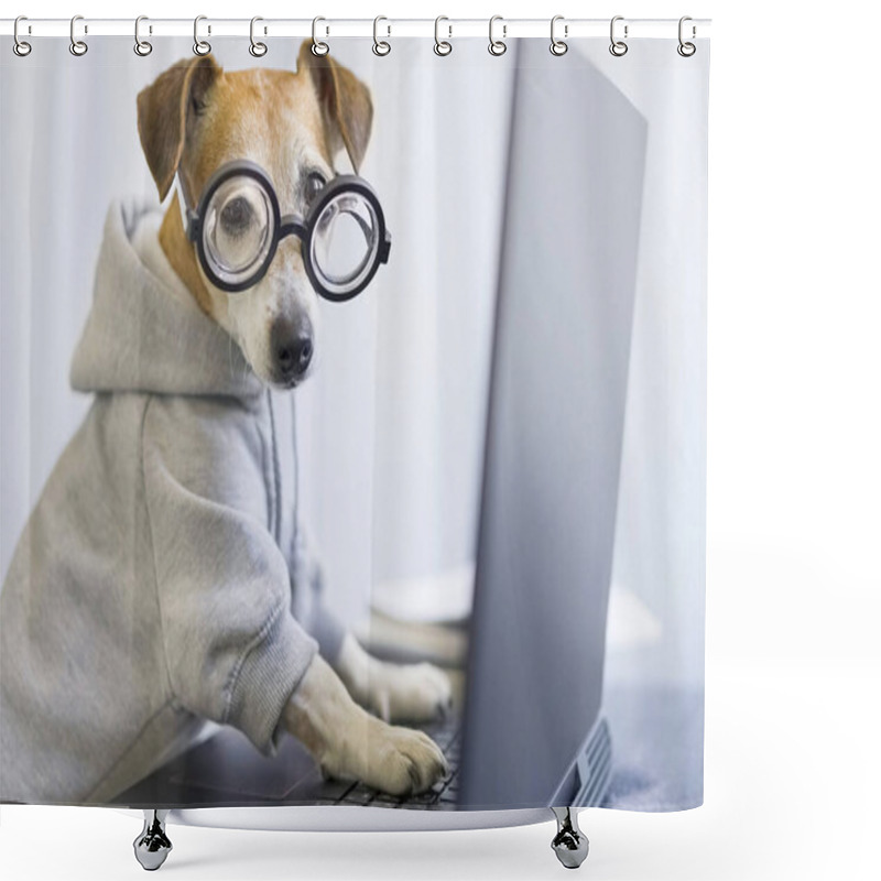 Personality  Computer Laptop Using By Funny Nerd Dog In Jumper. Looking To The Camera Pet Programmer. Remotely Working. Freelancer Work From Home. Distract From Task. Horizontal Photo. Quarantine Social Distancing Shower Curtains