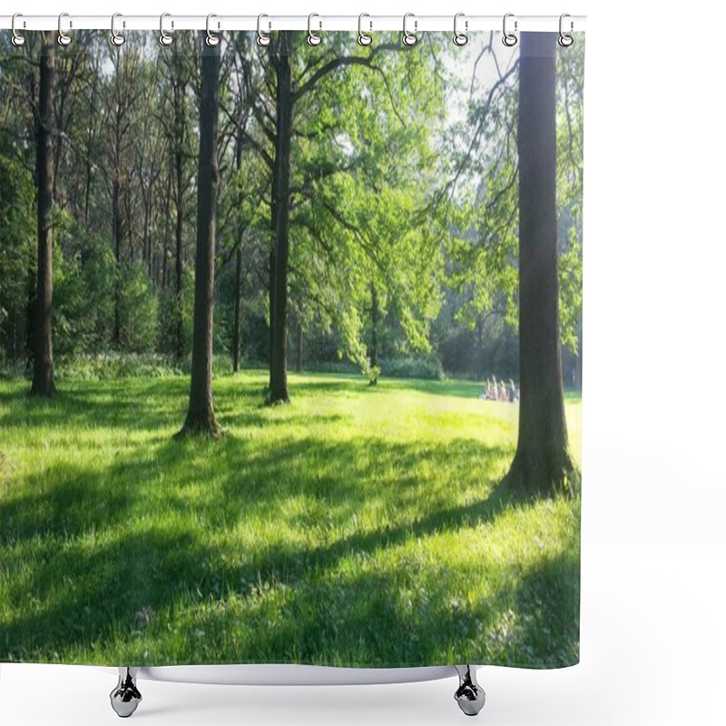 Personality  Beautiful Sunny Green Glade Shower Curtains