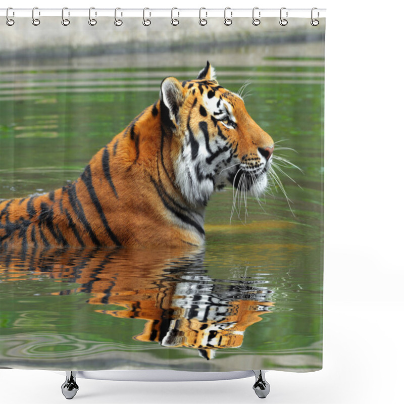 Personality  Siberian Tiger Shower Curtains