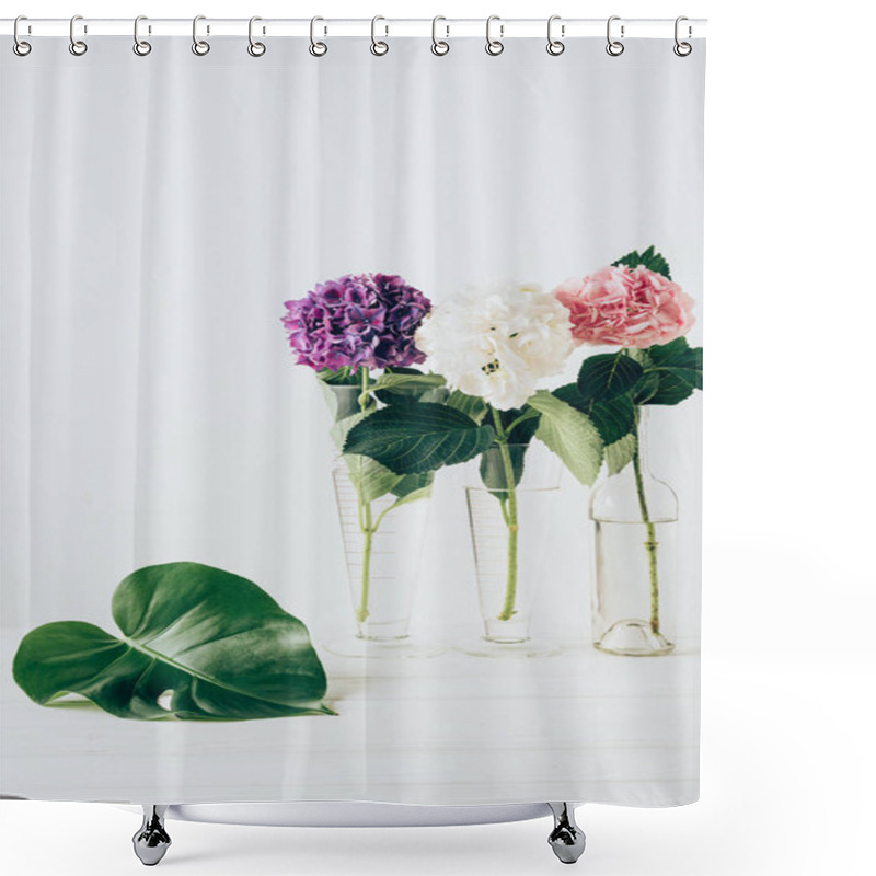 Personality  Pink, Purple And White Hydrangea Flowers In Glass Vases With Monstera Leaf Near, On White Shower Curtains