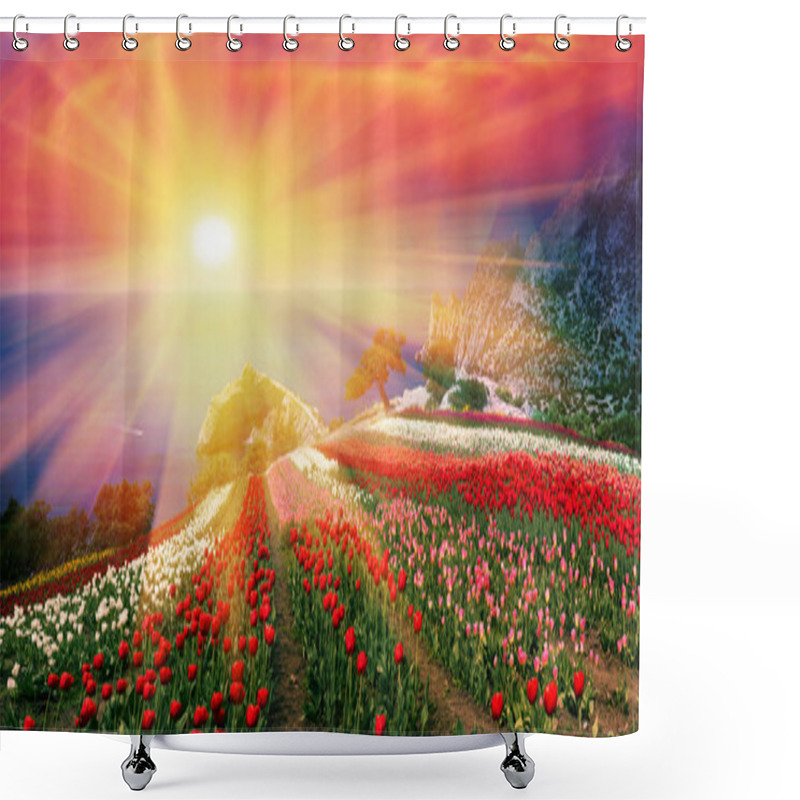 Personality  Tulips In Crimea At Sunrise Shower Curtains