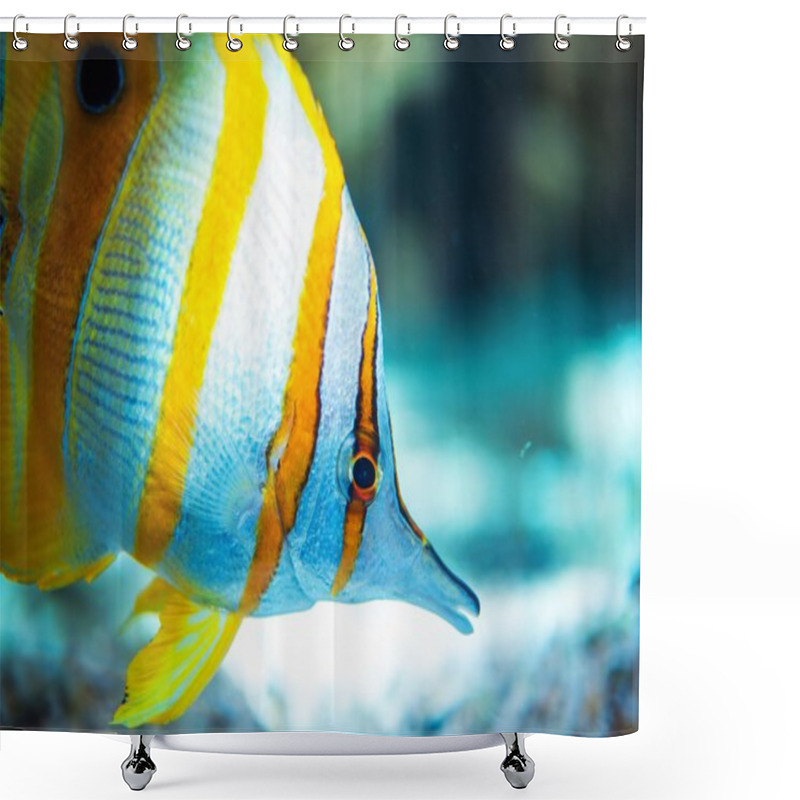 Personality  Tropical Fish Shower Curtains