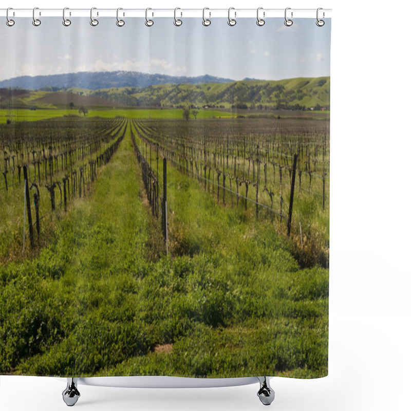 Personality  Vineyard Shower Curtains