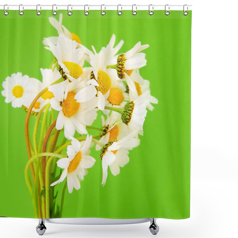 Personality  Fresh Daisy Flowers Shower Curtains