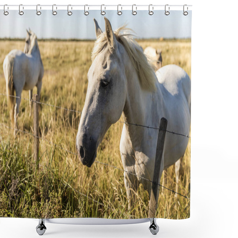 Personality  Pasture Shower Curtains