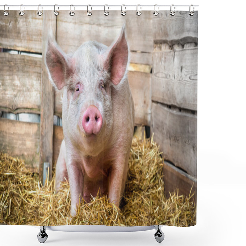 Personality  Pig On Hay And Straw Shower Curtains