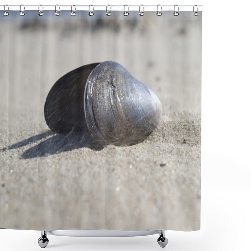 Personality  Mussel Shell Shower Curtains