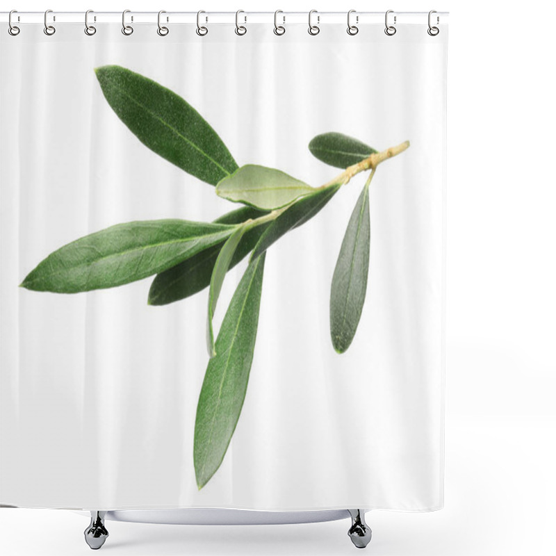 Personality  Olive Tree Branch With Green Leaves On White Background Shower Curtains